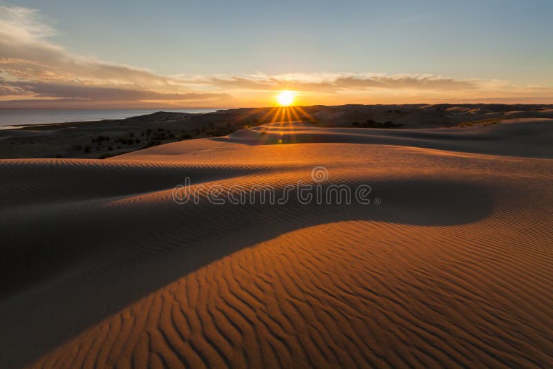 Picturesque desert landscape with a golden sunset