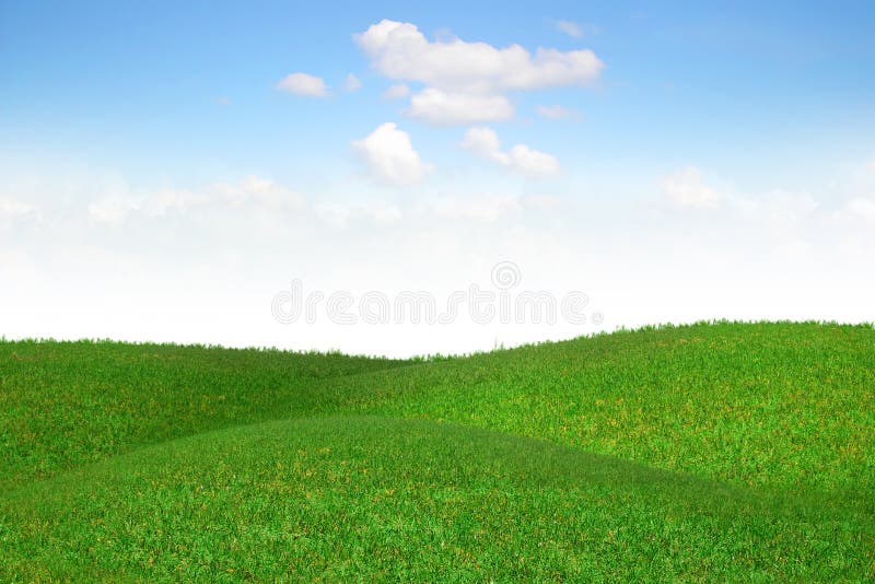 Picturesque landscape with green field.