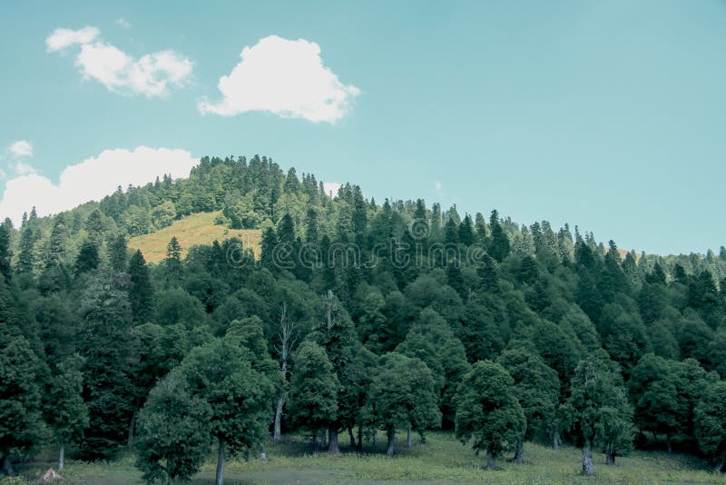 Picturesque natural landscape on mountains. stock image Picturesque natural landscape on mountains. stock image
