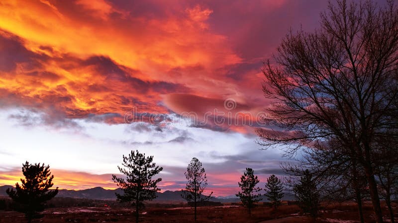 Picturesque Sunset on the Trees and Mountains royalty free stock photos Picturesque Sunset on the Trees and Mountains royalty free stock photos