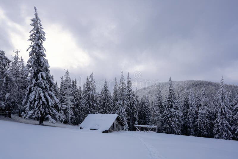 Picturesque winter landscape with huts, snowy mountains and forest.