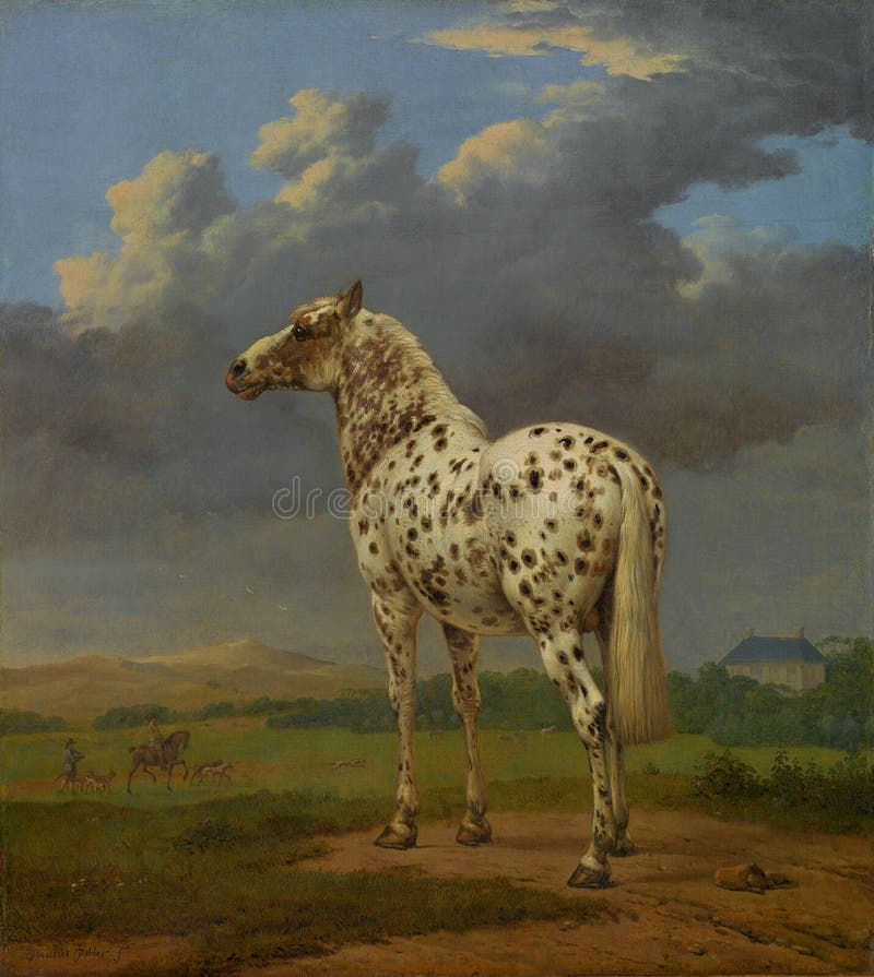 The Piebald Horse by Paulus Potter. The Piebald Horse by Dutch painter Paulus Potter. From circa 1650-4, oil on canvas. Digital image courtesy of Getty s Open Content Program