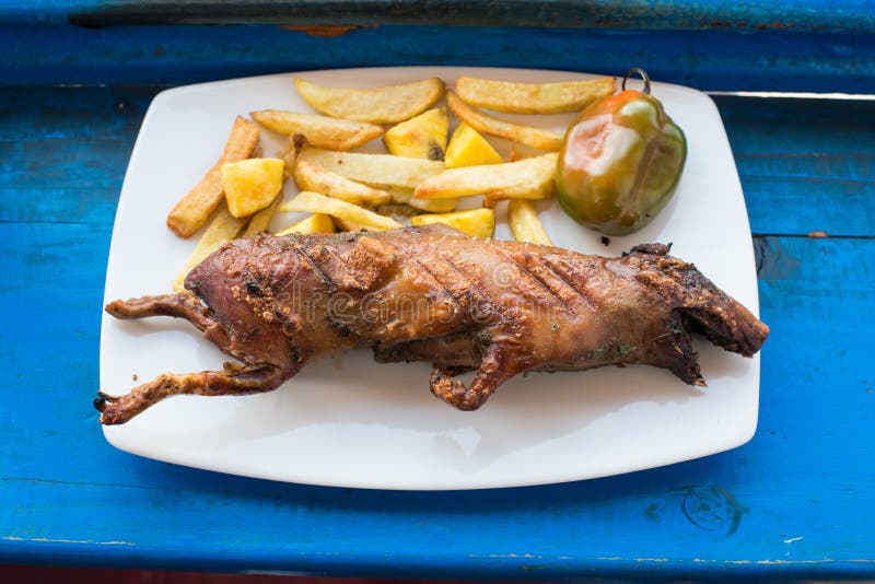 Piec na grillu królika doświadczalnego naczynie w peruvian Andes przy Cuzco Peru