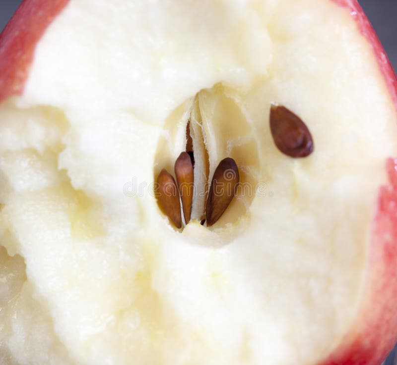 Piece of apple stock photo