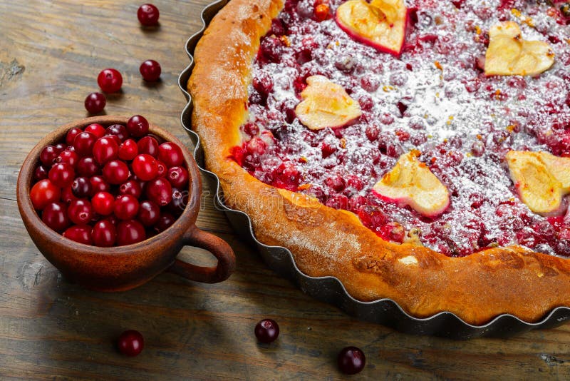 Piece of Apple and Cranberry Jelly Pie Stock Image Image of foxberry, cranberry 49098865