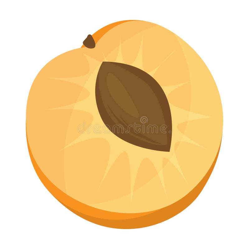 Piece of Apricot Vector Icon.Cartoon Vector Icon Isolated on White