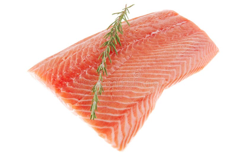 Salmon Fillet Isolated on White Background Stock Image Image of