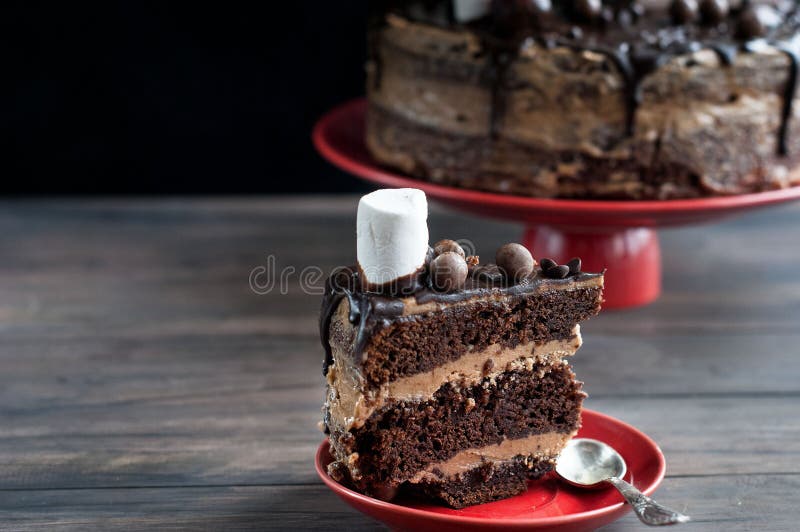 Piece of Chocolate Cake and a Big Cake with Chocolate Topping Stock