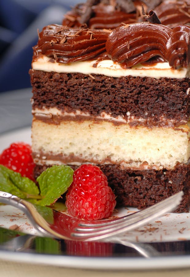 Piece of chocolate layer cake with fudge f