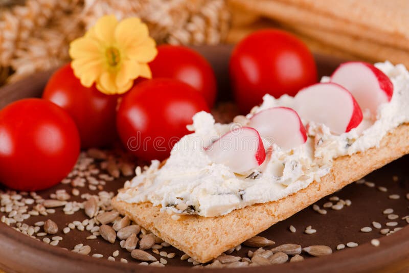 Piece of crispy bread with curd cheese and radish