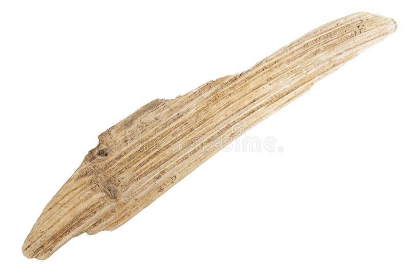 Driftwood isolated stock photo. Image of garden, trendy 55464950