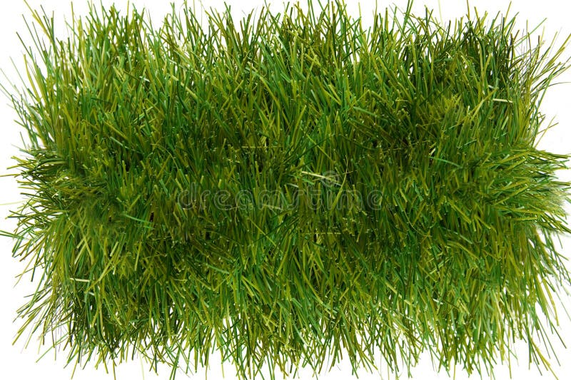 Piece of grass