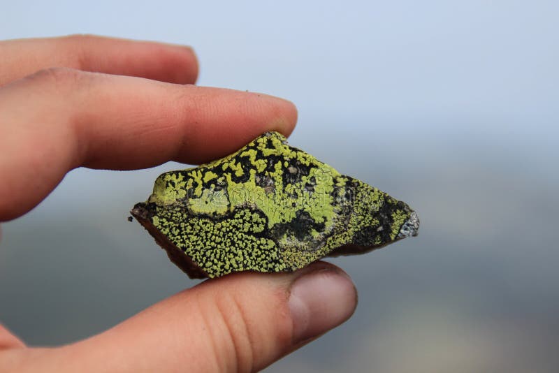 A piece of rock with a beautiful green mold stock photography A piece of rock with a beautiful green mold stock photography