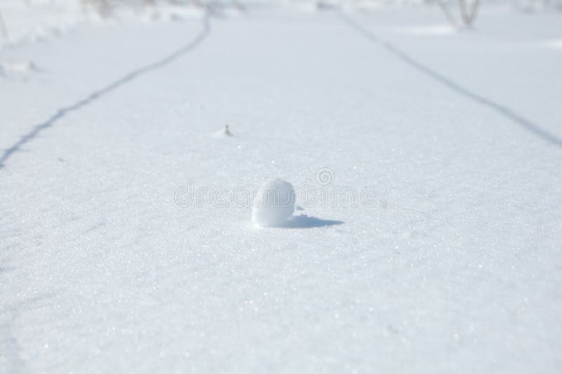 A Piece of Snow in the Sun. Stock Image Image of wild, fence 209572499