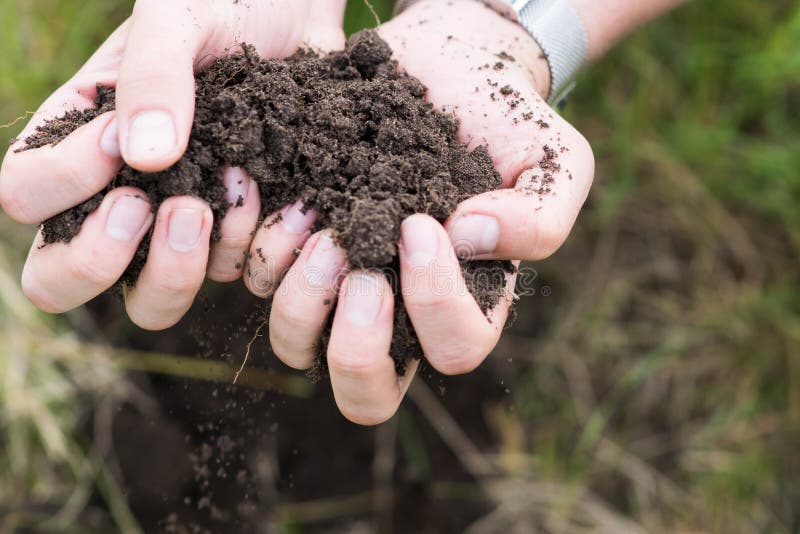 A Piece of Soil in Strong Man Farmer`s Hands Stock Image - Image of ...