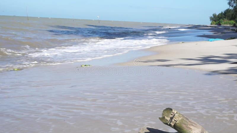 A piece of wood on the edge of the beach hit by the waves