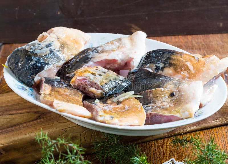 Pieces of Carp Fish in Marinade Ready for Frying Stock Image Image of