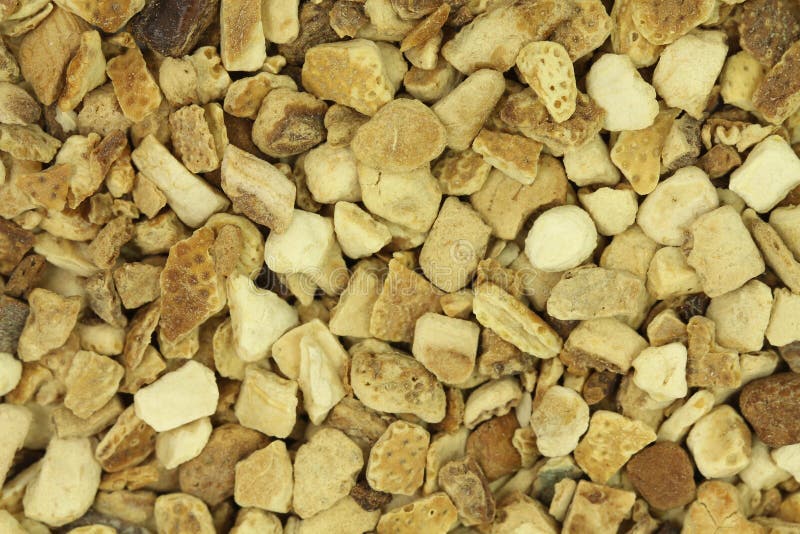 Pieces of dried lemon peel stock photo