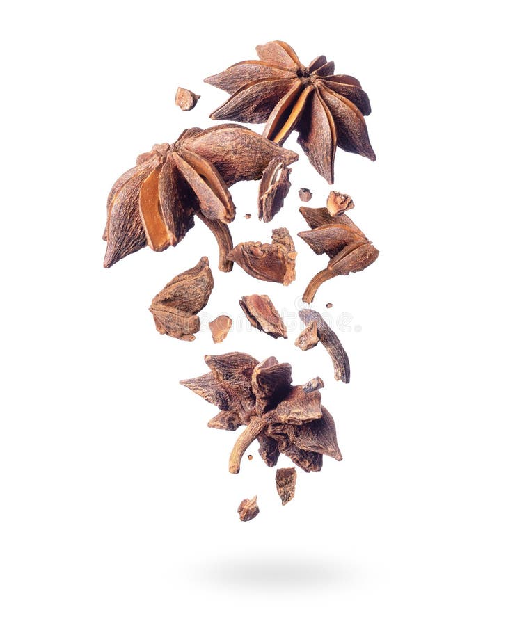 Pieces of dry anise fall down on a white background vector illustration Pieces of dry anise fall down on a white background vector illustration