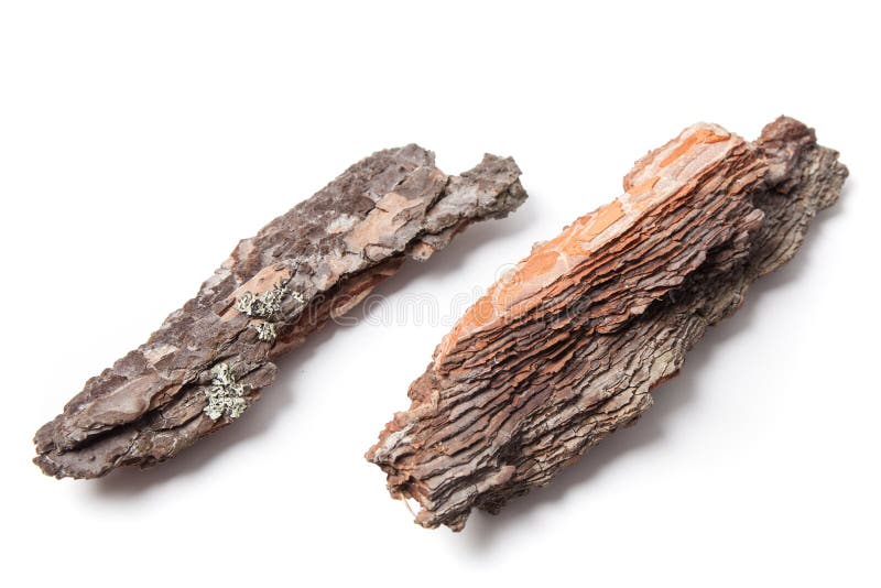 Two pieces of pine bark isolated on white. Roughness stock images, royalty-free photos and pictures