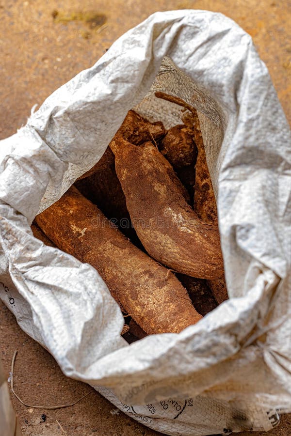 Cassava Bags Australia – NaturalPak AUS