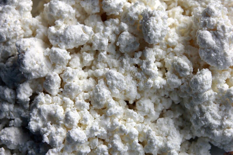 White Cottage Cheese Texture Closeup. Stock Image Image of lunch