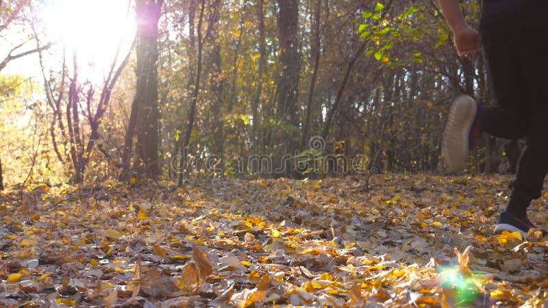 Piedi di uomo forte che corrono attraverso la foresta autunnale. gambe maschili durante l'allenamento durante l'allenamento sulle