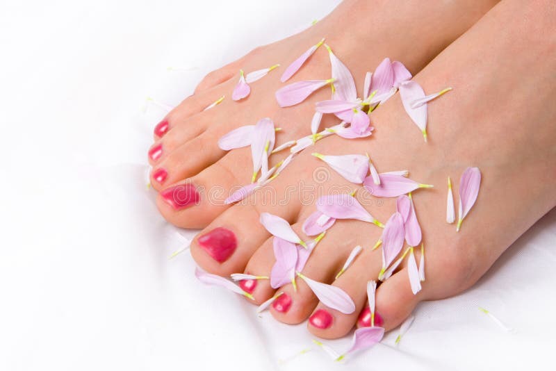Woman legs in lilac petals on white. Woman legs in lilac petals on white