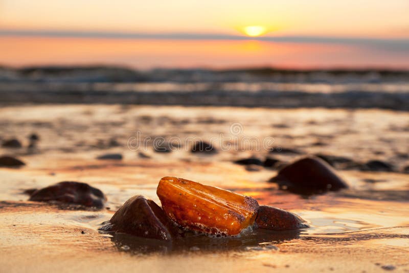 Piedra ambarina en la playa Gema preciosa, tesoro Mar Báltico foto de archivo libre de regalías Piedra ambarina en la playa Gema preciosa, tesoro Mar Báltico foto de archivo libre de regalías