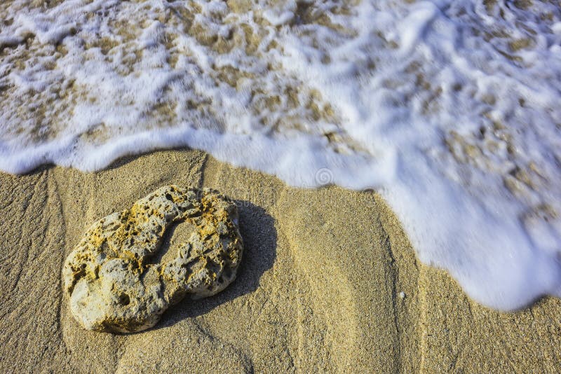 romántico sesión superstición Piedra Coralina En La Playa Del Mar Imagen de archivo - Imagen de coral,  marina: 107029855