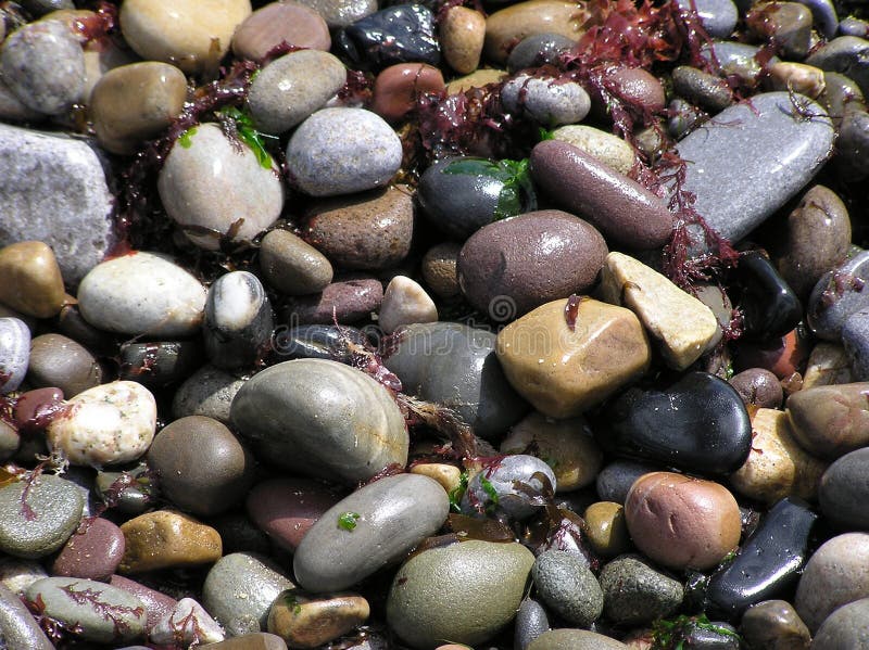 Piedras mojadas de la playa imágenes de archivo libres de regalías Piedras mojadas de la playa imágenes de archivo libres de regalías