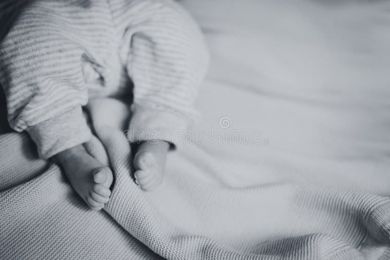 Le Pied Du Bebe En Noir Et Blanc Photos Libres De Droits Et Gratuites De Dreamstime Le Pied Du Bebe En Noir Et Blanc Photos Libres De Droits Et Gratuites De Dreamstime