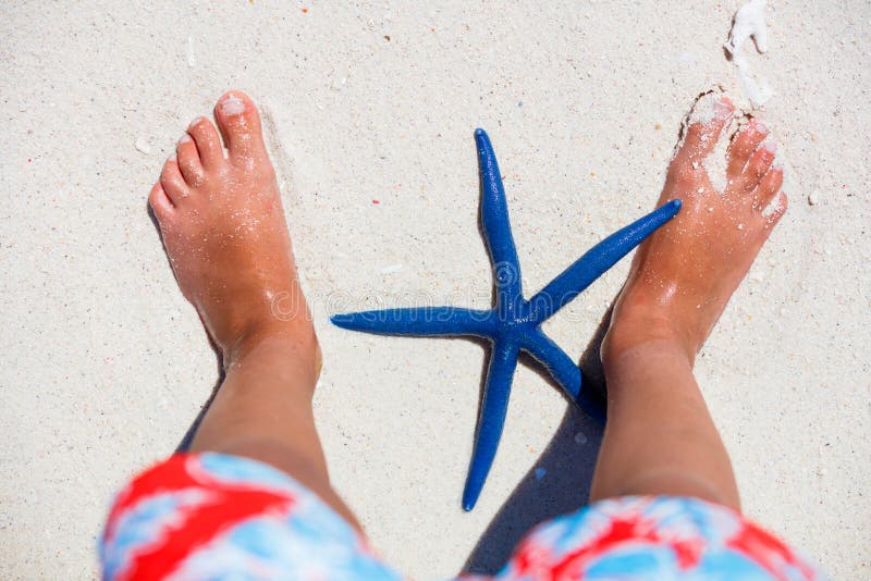 Etoiles De Mer De Bebe Photo Stock Image Du Petit Beau Etoiles De Mer De Bebe Photo Stock Image Du Petit Beau