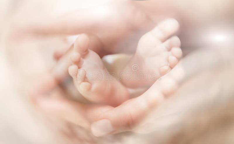 Pieds de ch?ri dans des mains de m?re Le concept de la garde d'enfants, sentant en s?curit?, se prot?gent image libre de droits Pieds de ch?ri dans des mains de m?re Le concept de la garde d'enfants, sentant en s?curit?, se prot?gent image libre de droits