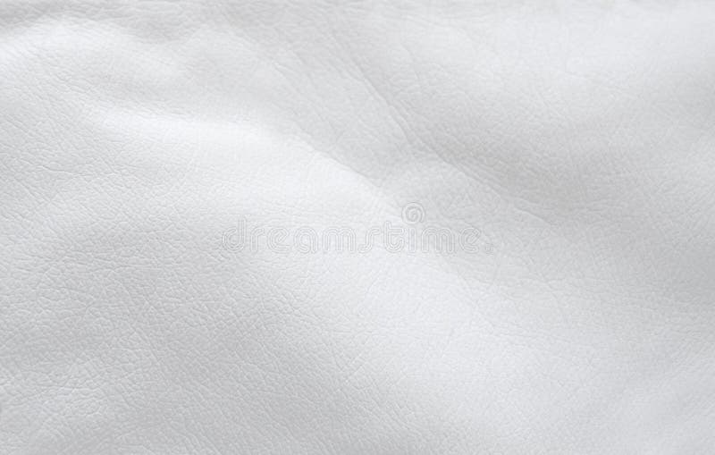 Piele albă royalty free stock photos