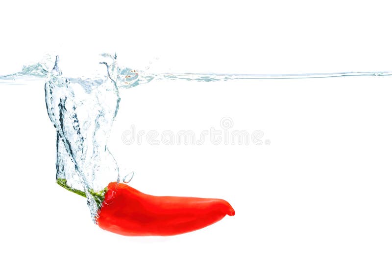 Red chilli dropped in water with splashes isolated on white background. Red chilli dropped in water with splashes isolated on white background