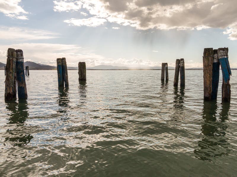 Pier Legs in the water royalty free stock image Pier Legs in the water royalty free stock image
