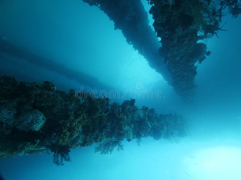 Pier Supports Full of Corals Underwater in Bright Blue Ocean Background ...