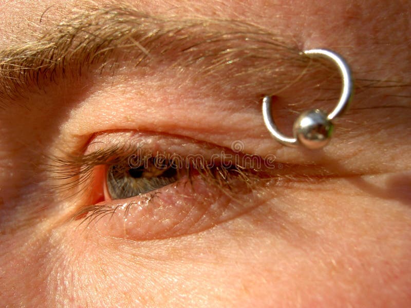 Piercing del sopracciglio fotografie stock libere da diritti Piercing del sopracciglio fotografie stock libere da diritti