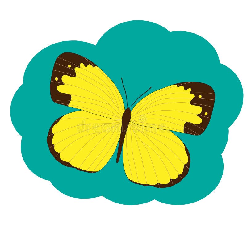 Pieridae jaune de papillon illustration stock