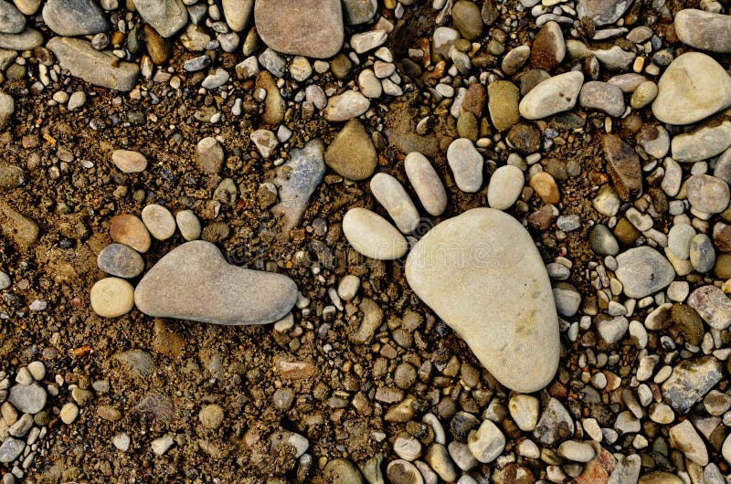 The yeti left the marks on the river bank. The yeti left the marks on the river bank