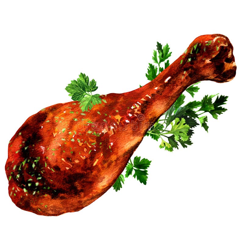 Piernas de pollo frito con el perejil aislado ilustración del vector