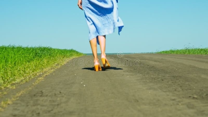 Piernas delgadas de la muchacha del tiro del Bajo-ángulo en paseo de la falda a lo largo del camino almacen de video