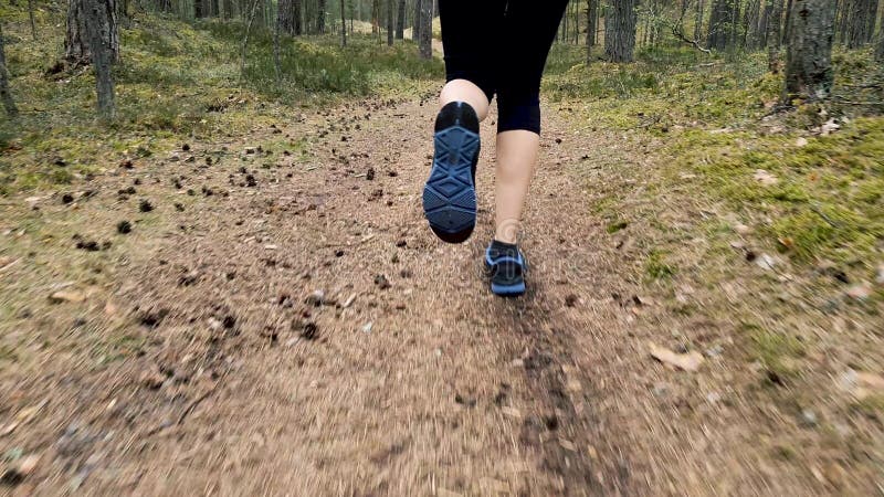 Piernas femeninas que corren en rastro del bosque