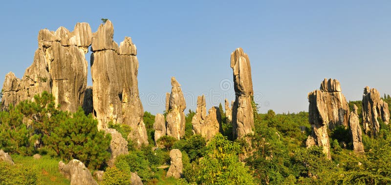 Shilin, Yunnan, China is located in the hinterland east plateau, is the essence of the world karst. Shilin Karst landscape in the main to hung, extraordinary and dangerous, Sau, quiet, Austria, open with the world's most unique karst (karst) landscape, to form a long history, the type of complete, large-scale, development of integrity, known as the best in the world wonders, modeling natural landform Museum, to the academic reputation in the world. Stone Forest was formed 2.7 billion years ago, the development by the long and complex geological evolution and palaeogeography of the changes taking place before the formation of the present-day geological remains extremely valuable. Shilin, Yunnan, China is located in the hinterland east plateau, is the essence of the world karst. Shilin Karst landscape in the main to hung, extraordinary and dangerous, Sau, quiet, Austria, open with the world's most unique karst (karst) landscape, to form a long history, the type of complete, large-scale, development of integrity, known as the best in the world wonders, modeling natural landform Museum, to the academic reputation in the world. Stone Forest was formed 2.7 billion years ago, the development by the long and complex geological evolution and palaeogeography of the changes taking place before the formation of the present-day geological remains extremely valuable.