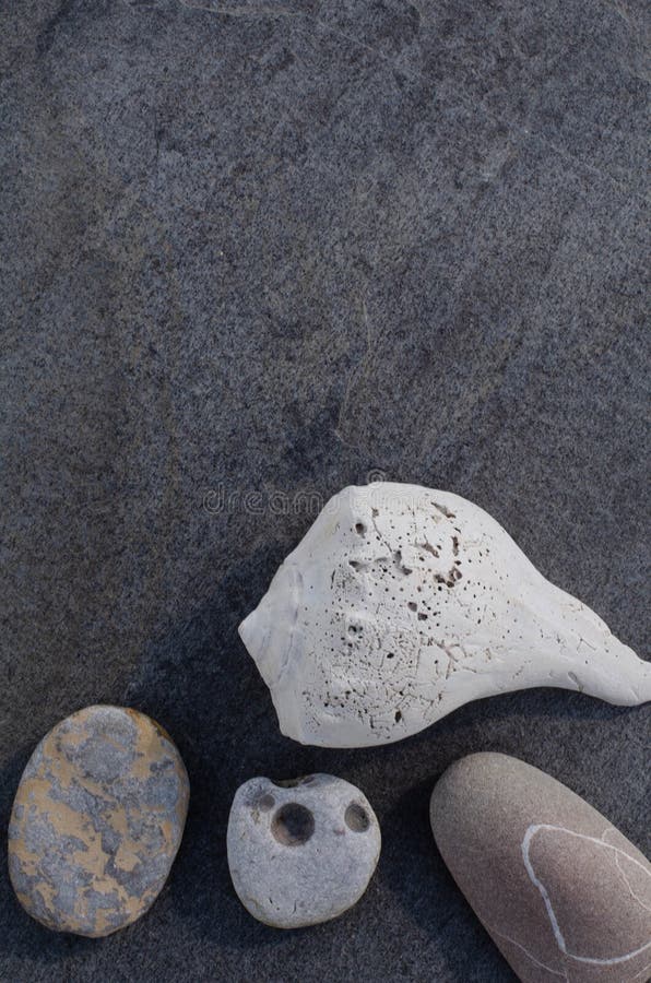 Pierres de coquillage et de plage sur Gray Rock photographie stock Pierres de coquillage et de plage sur Gray Rock photographie stock