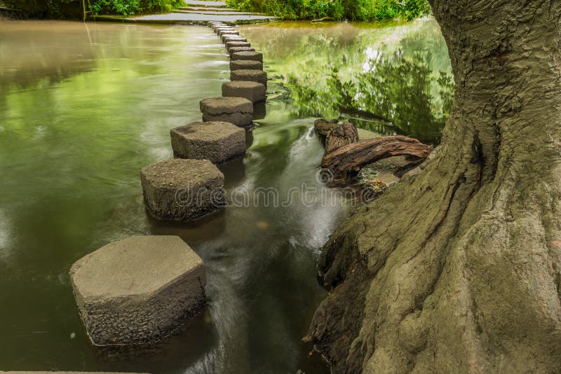 Pierres de progression Boxhill, Surrey, Angleterre g photographie stock Pierres de progression Boxhill, Surrey, Angleterre g photographie stock