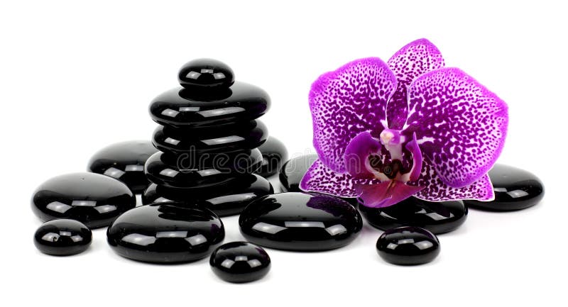 Pierres et orchidée de basalte de zen d'isolement sur le blanc image stock Pierres et orchidée de basalte de zen d'isolement sur le blanc image stock