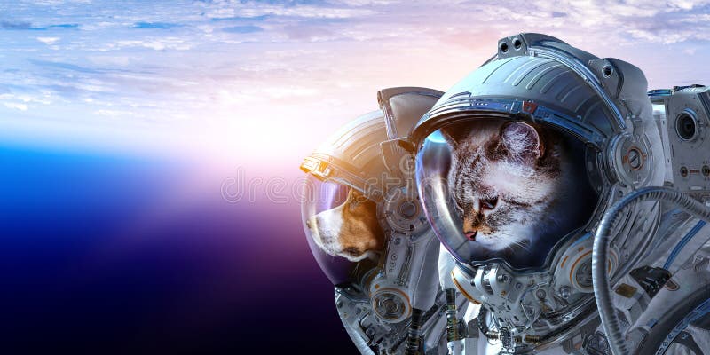 Pierwsza podróż w kosmos Multimedia mieszane. Zwierzęta astronautyczne w stroju kosmicznym Elementy tego obrazu są dostarczane przez NASA
