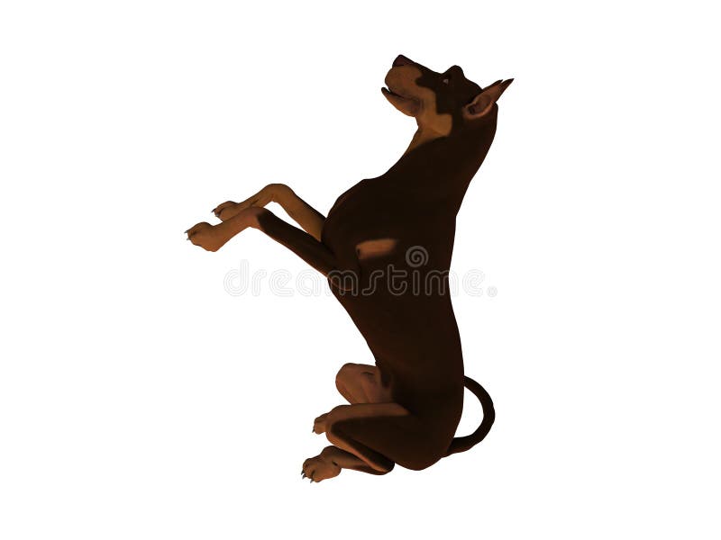 Cgi / 3D illustration of a Dobermann Pincher breed dog begging for attention. Hi- resolution PNG file also available. Cgi / 3D illustration of a Dobermann Pincher breed dog begging for attention. Hi- resolution PNG file also available.